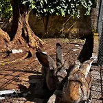 Casa Milheirices * São Mamede