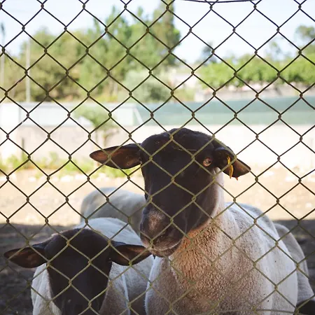 Villa Casa Milheirices
